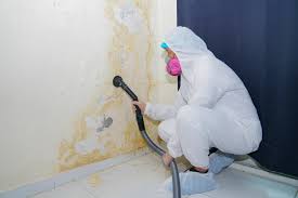 Mold Remediation for Vacation Homes in Sand Springs, OK